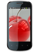 Best available price of Celkon A19 in Qatar