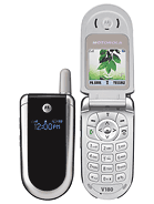 Best available price of Motorola V186 in Qatar