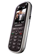 Best available price of Motorola WX288 in Qatar