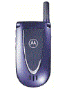 Best available price of Motorola V66i in Qatar
