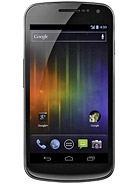 Best available price of Samsung Galaxy Nexus I9250 in Qatar